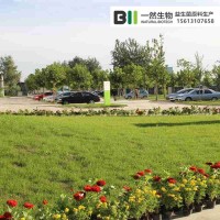 河北一然|邢臺(tái)市益生菌粉招商益生菌代加工