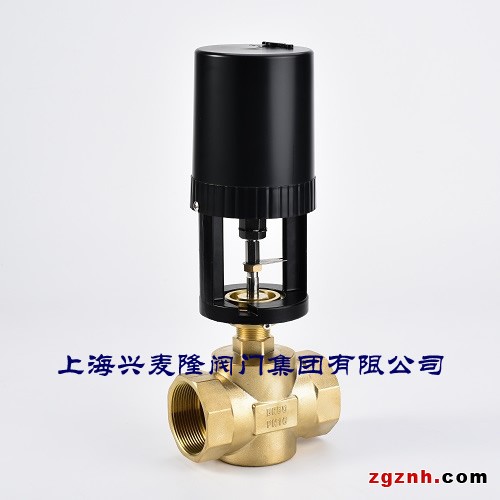500-ET7200比例積分電動(dòng)調(diào)節(jié)閥1-水印